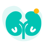 肾功能